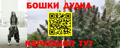 крисы Будённовск