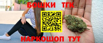 крисы Будённовск