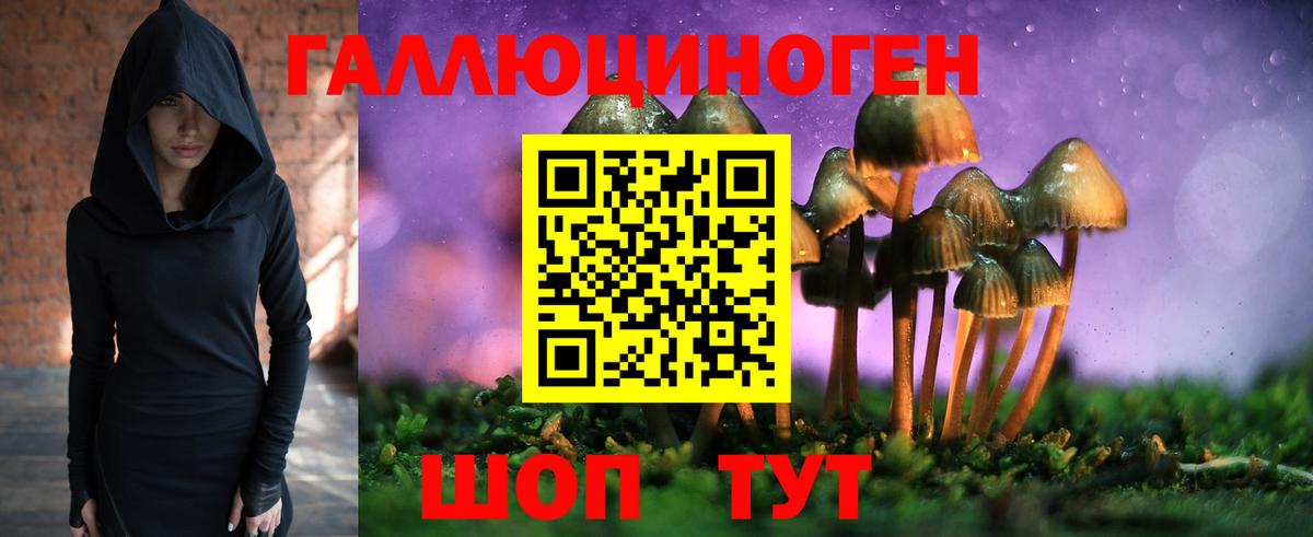 Псилоцибиновые грибы Magic Shrooms Новокубанск