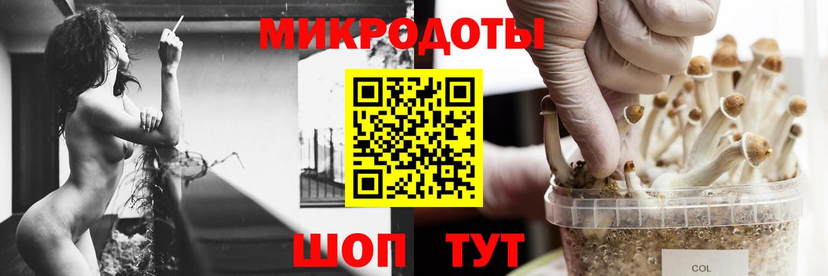 Новокубанск  Псилоцибиновые грибы мицелий  Галлюциногенные грибы прущие грибы  Вход с VPN 